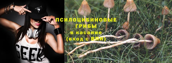 прущая мука Белокуриха