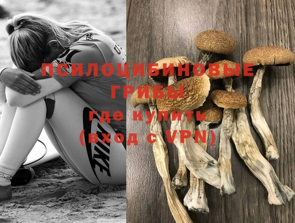 прущая мука Белокуриха
