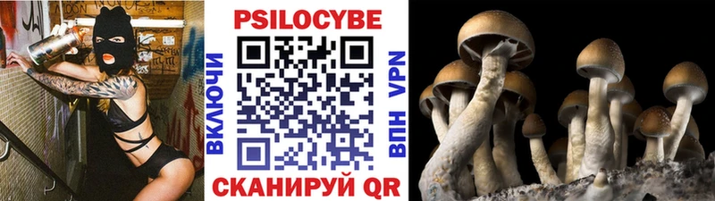 Галлюциногенные грибы Psilocybe  Реутов 